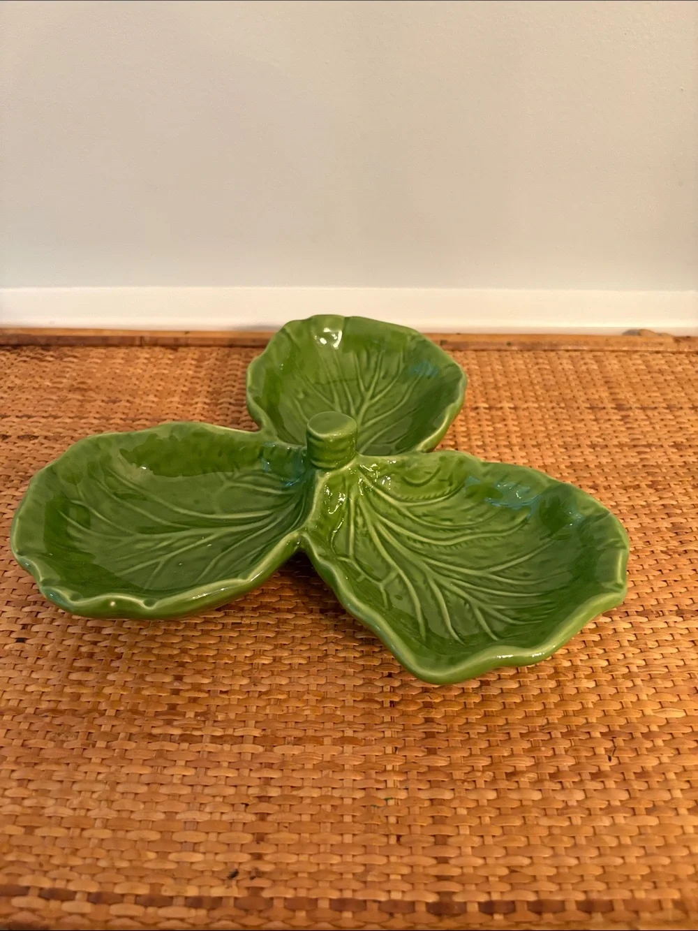 Viva green stylish cabbage